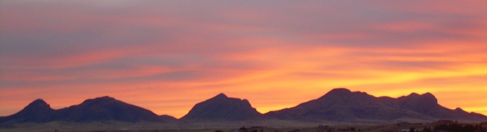 Monika's Home Bakery