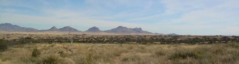 Monika's Home Bakery