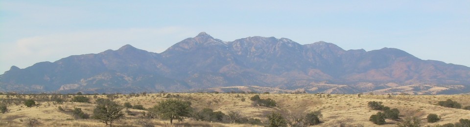 Monika's Home Bakery