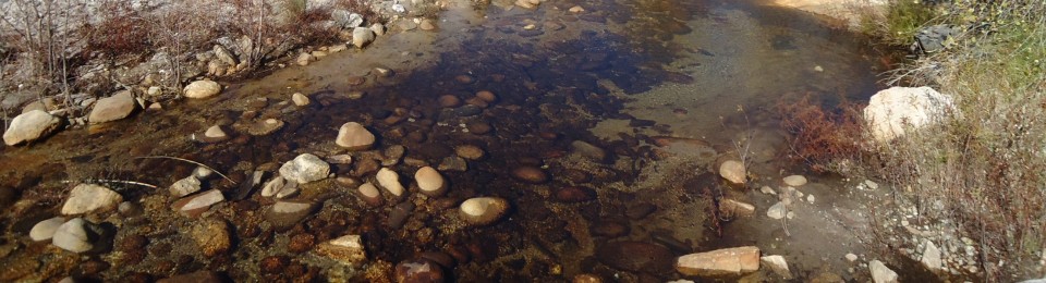 Monika's Home Bakery