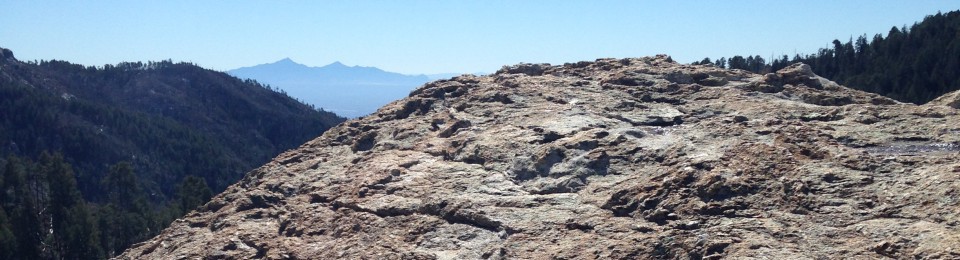 Monika's Home Bakery